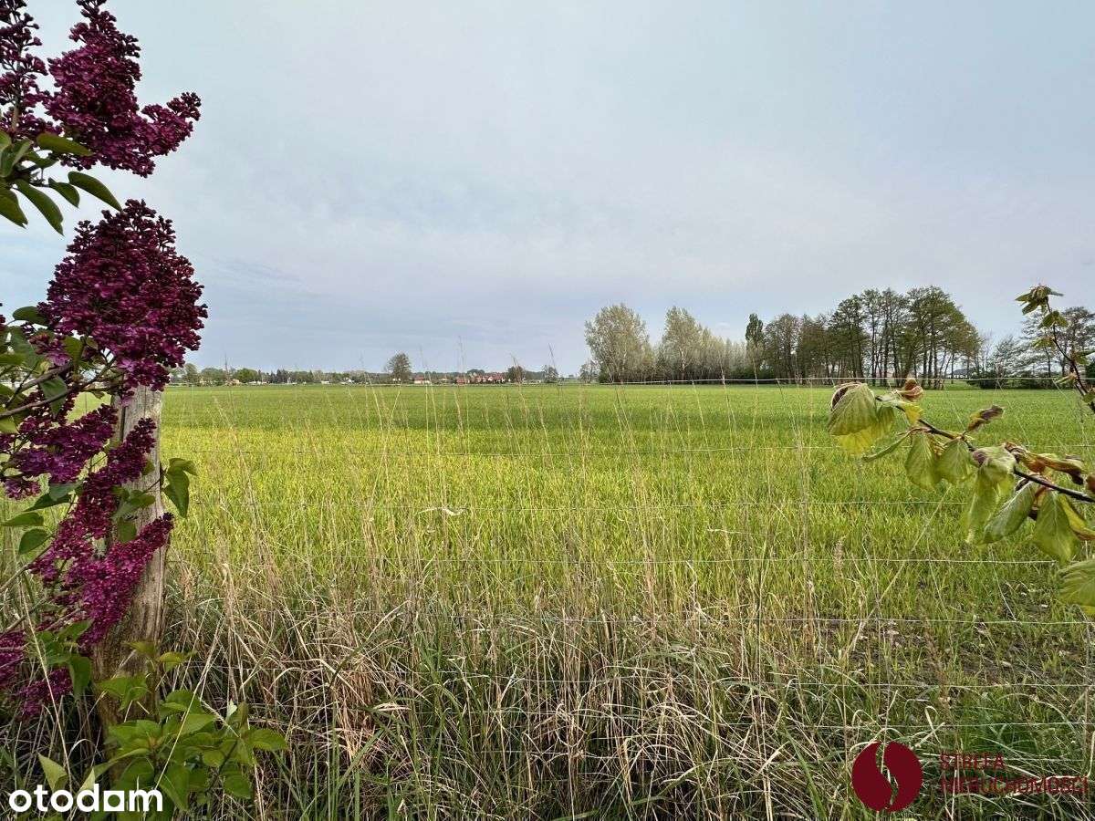 Urokliwy, wiejski dom Łęczyce-16