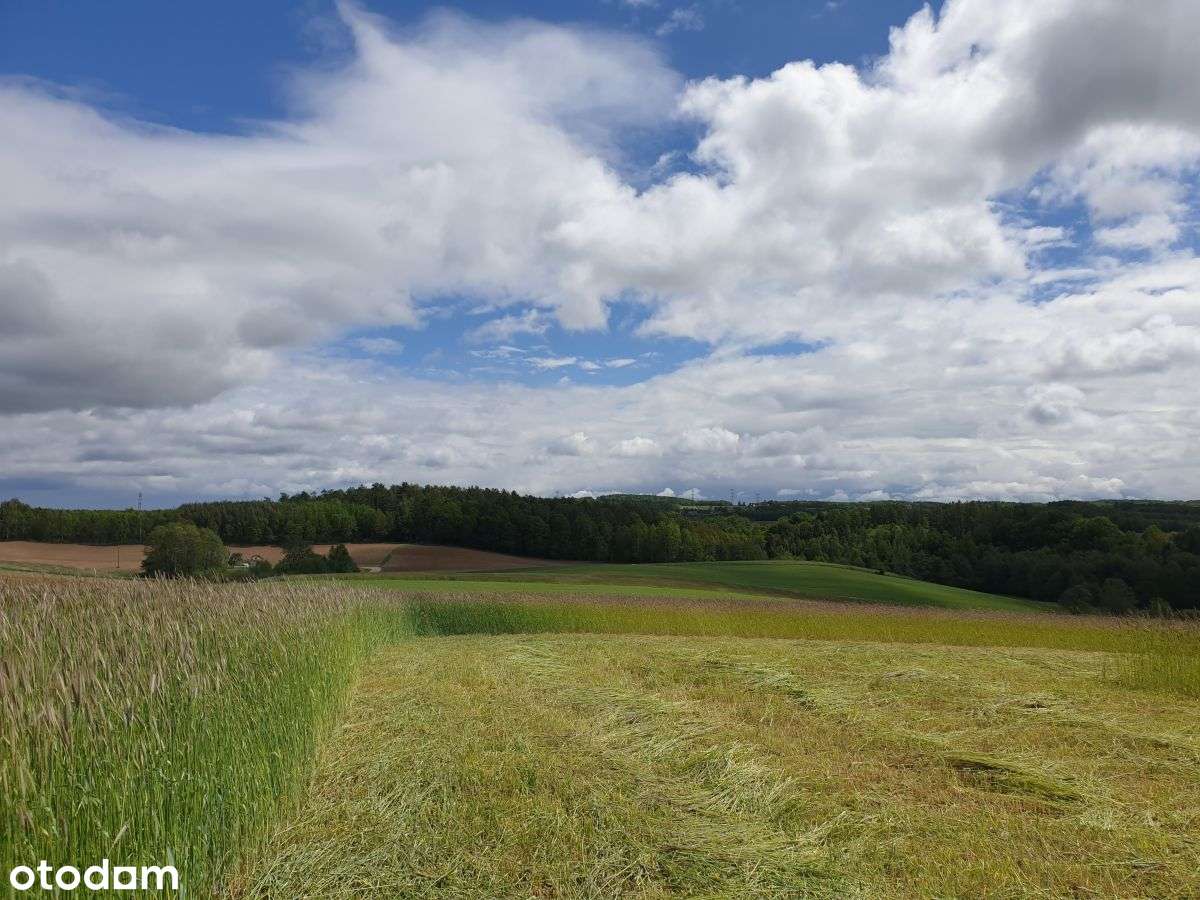 Barłomino Luzino działka budowlana 1100m2 - Pełny obrazek: 4/13