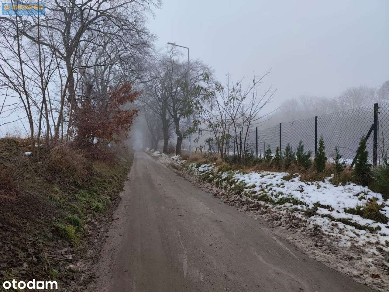 Atrakcyjne 2 działki przy Lesie Blisko Bydgoszczy - Pełny obrazek: 4/12