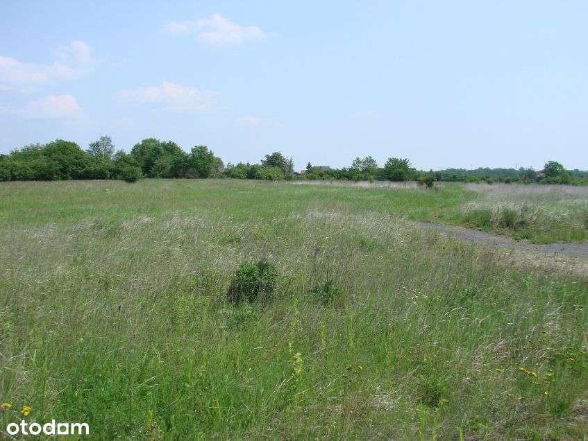 Działka, 2 748 m², Głoska - Pełny obrazek: 4/7