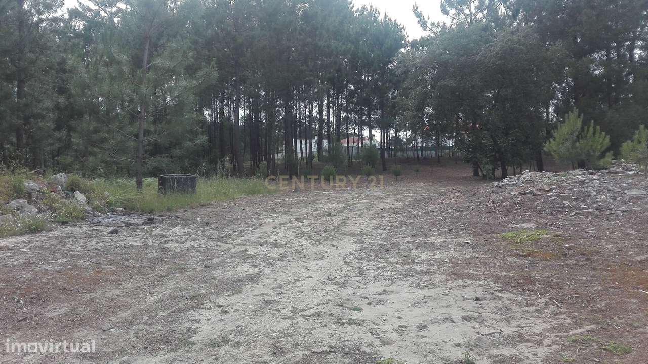 Terreno  para construção ideal para moradia unifamiliar - Grande imagem: 4/5