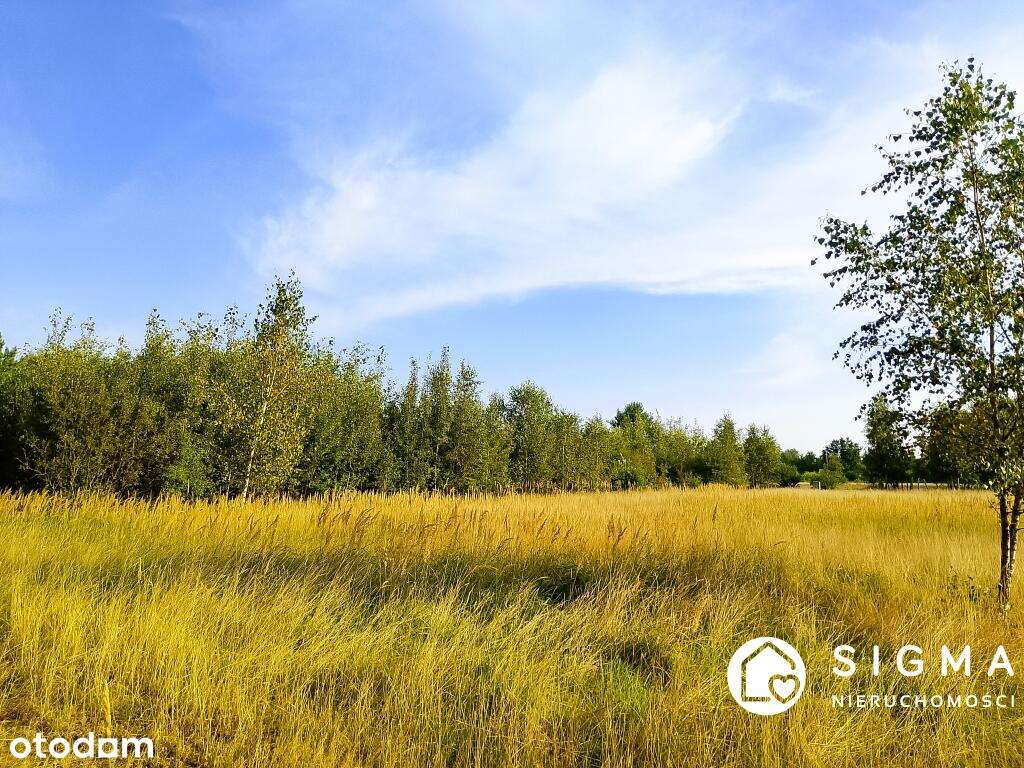 Piękna działka przy lesie I MPZP I media-0