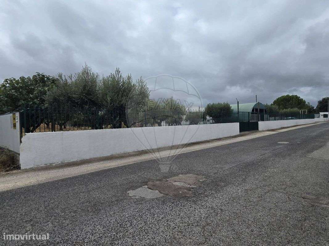 Armazém  para arrendamento - Grande imagem: 4/29