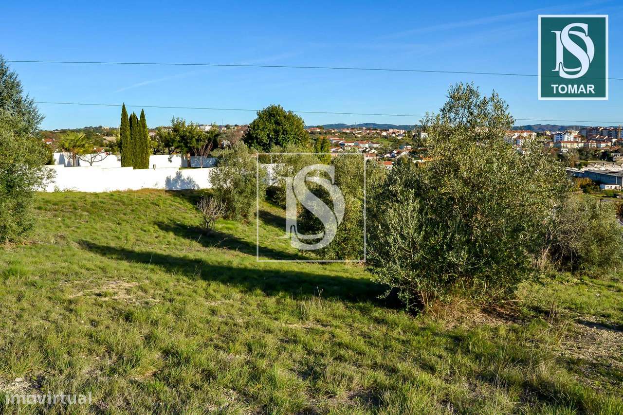 Terreno  Venda em Tomar (São João Baptista) e Santa Maria dos Olivais,-15