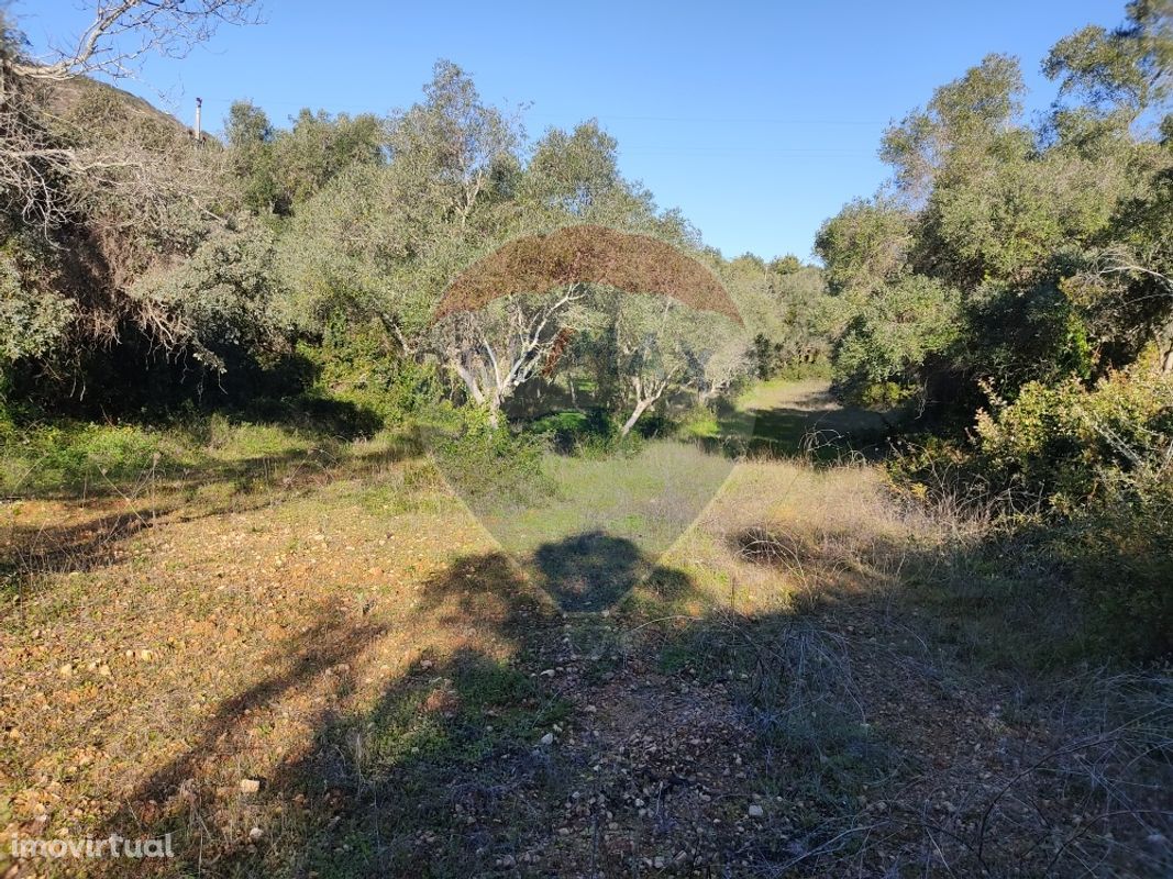 Terreno para Venda