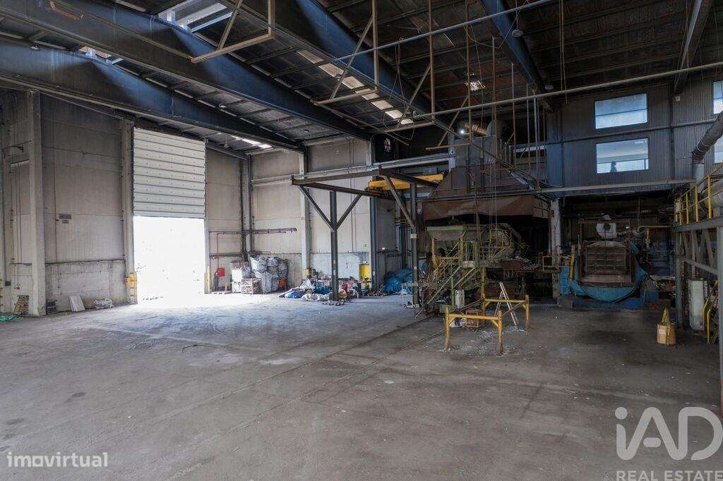 Armazém em Nogueira do Cravo e Pindelo de 2268,00 m2 - Grande imagem: 3/22