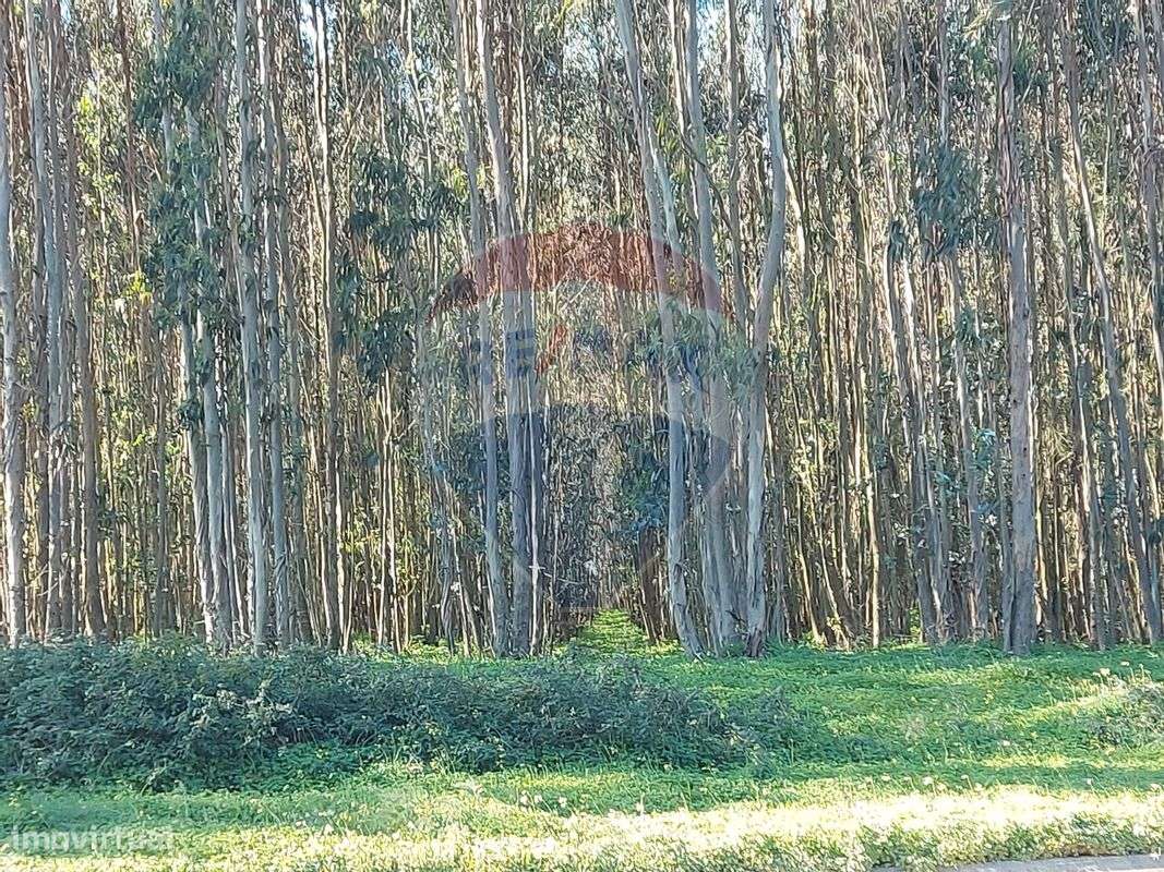 Terreno  para venda - Grande imagem: 3/9