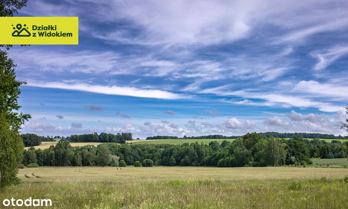 Chmieleń - działka z WZ zatopiona w naturze i spokojnej okolicy - Pełny obrazek: 4/10