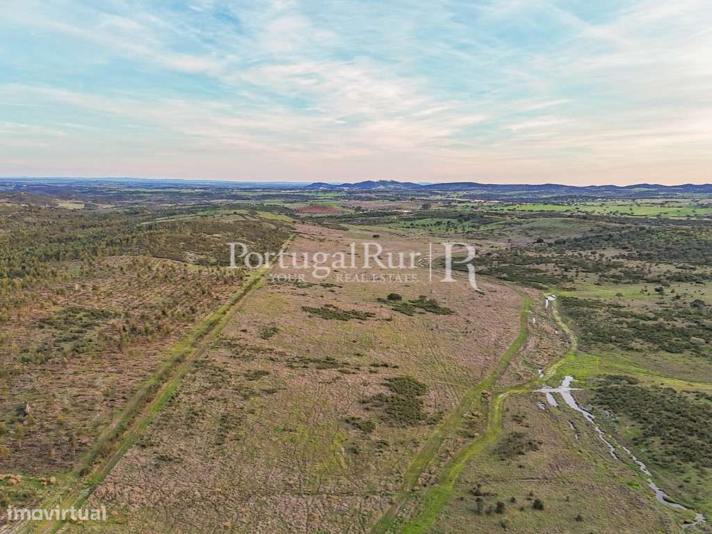 Propriedade com 15 hectares de terreno plano - Grande imagem: 2/11