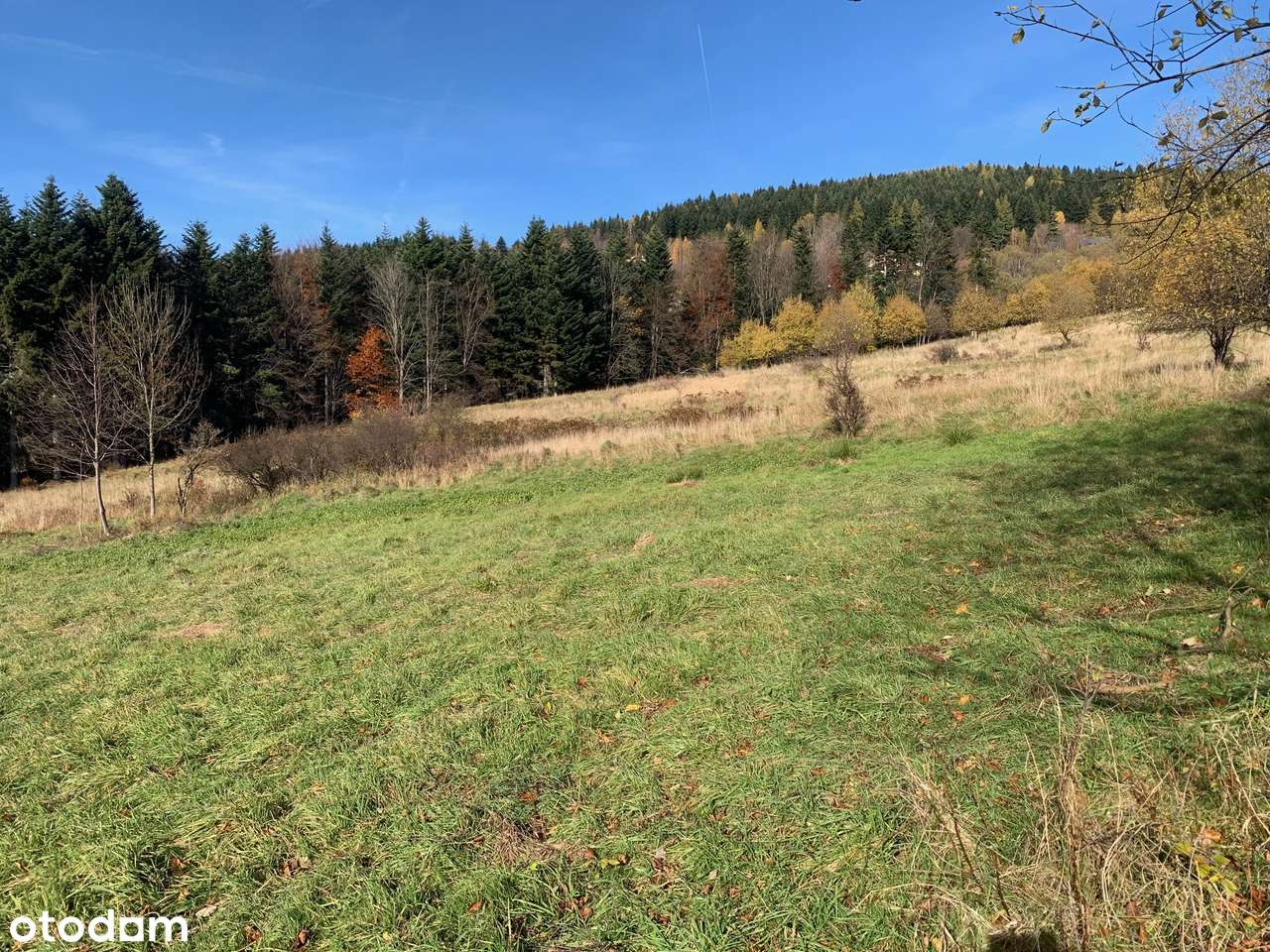 Piękna Działka Budowlana z Widokiem na Babią Górę - Pełny obrazek: 5/11