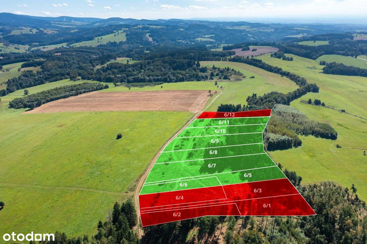 Działka widokowa z własnym lasem - Pełny obrazek: 2/10