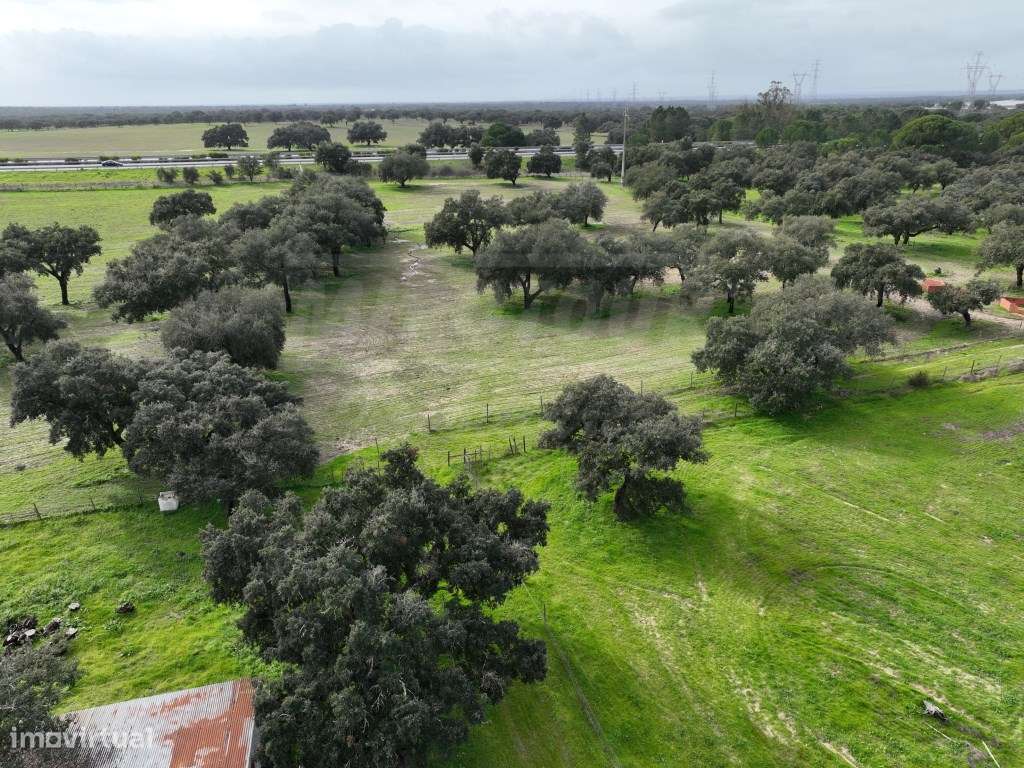 Propriedade Rústica com 11 Hectares junto a Canhestros-23