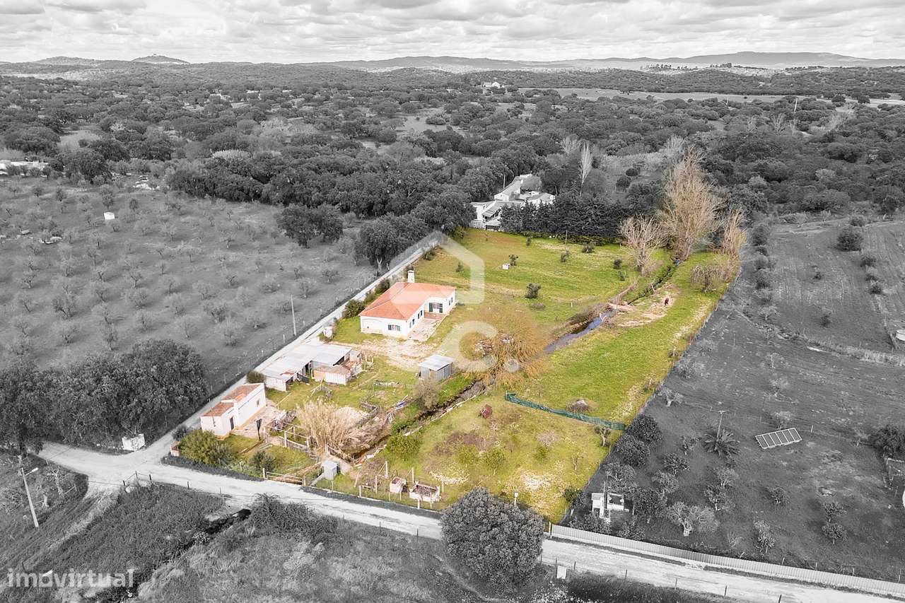 Quinta de 0,7 ha com Moradia T4 e Anexos | Azaruja, Évora - Grande imagem: 3/60