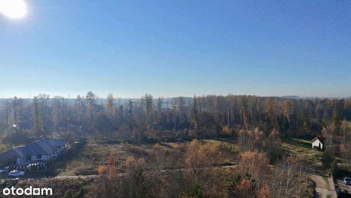 Sprzedam działkę w Miszewku- blisko lasu i jeziora - Pełny obrazek: 5/13