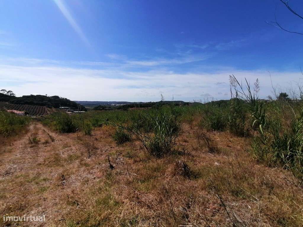 Terreno com projeto aprovado entre Óbidos e Bombarral - Grande imagem: 5/17