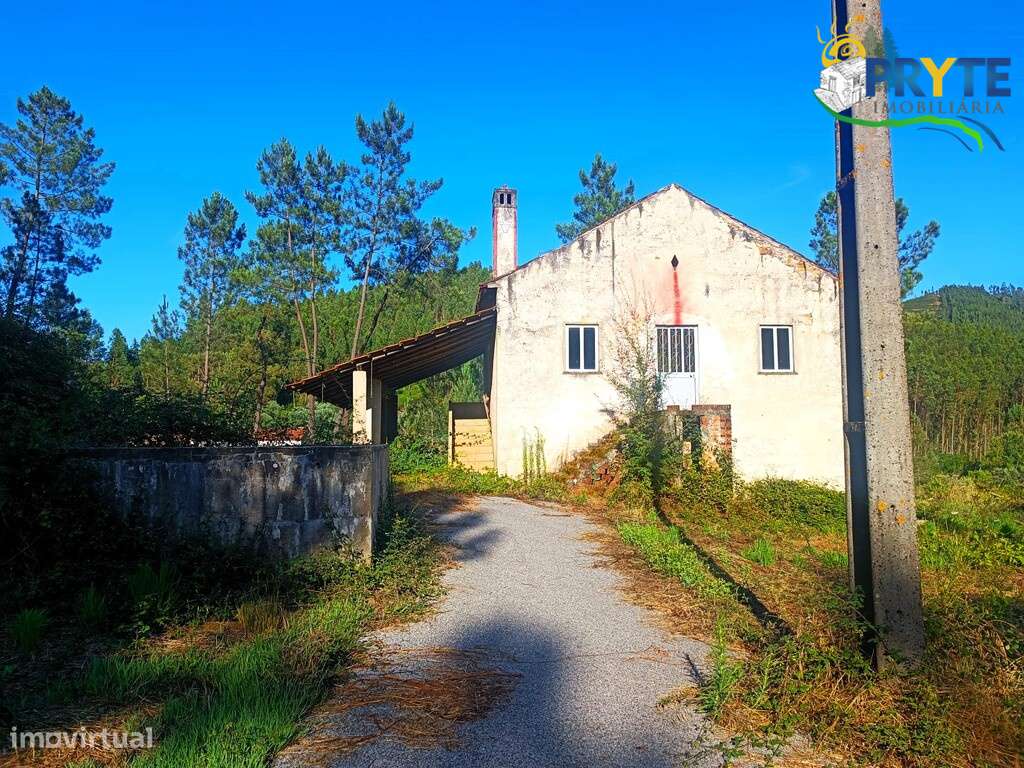 Quintinha com moradia de tipologia T3 em Cernache do Bonjardim - Grande imagem: 5/29