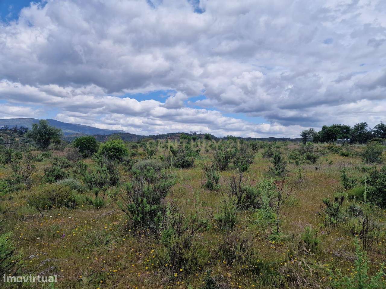 Terreno de 12250m² em Portimão - Oportunidade Única! - Grande imagem: 2/6
