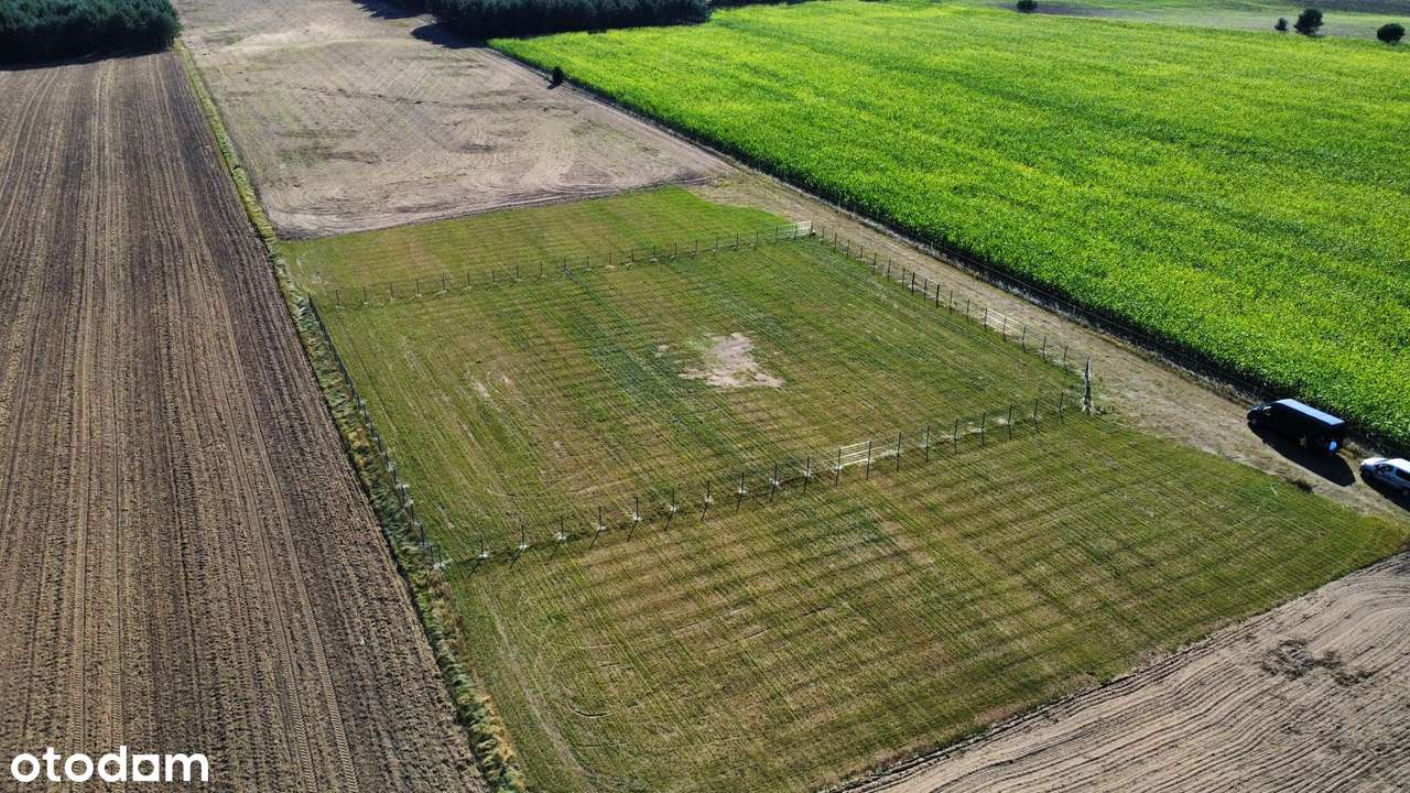 Działka 1338 m2 - blisko natury z dala od zgiełku - Pełny obrazek: 3/8