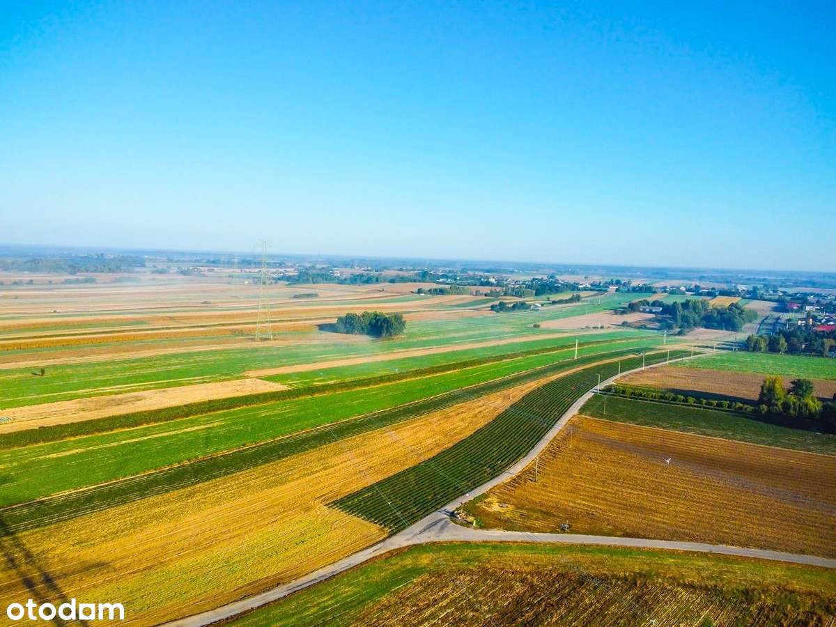 Ustawna, płaska działka w okolicach Łęcznej - Pełny obrazek: 5/10