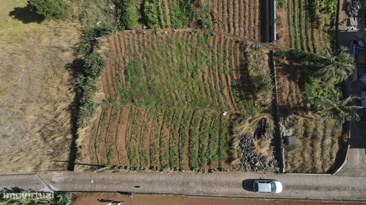 terreno no centro da  ponta do pargo - Grande imagem: 4/18