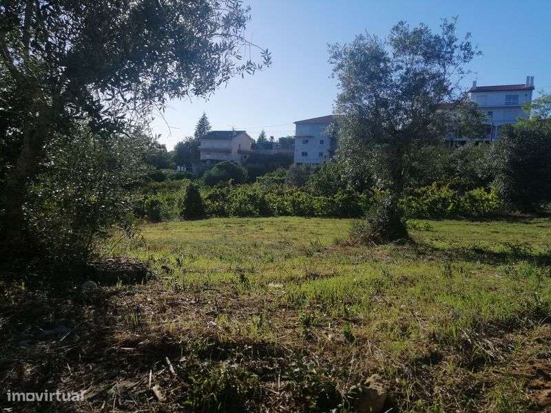 Dois Lotes Terreno - Grande imagem: 4/5