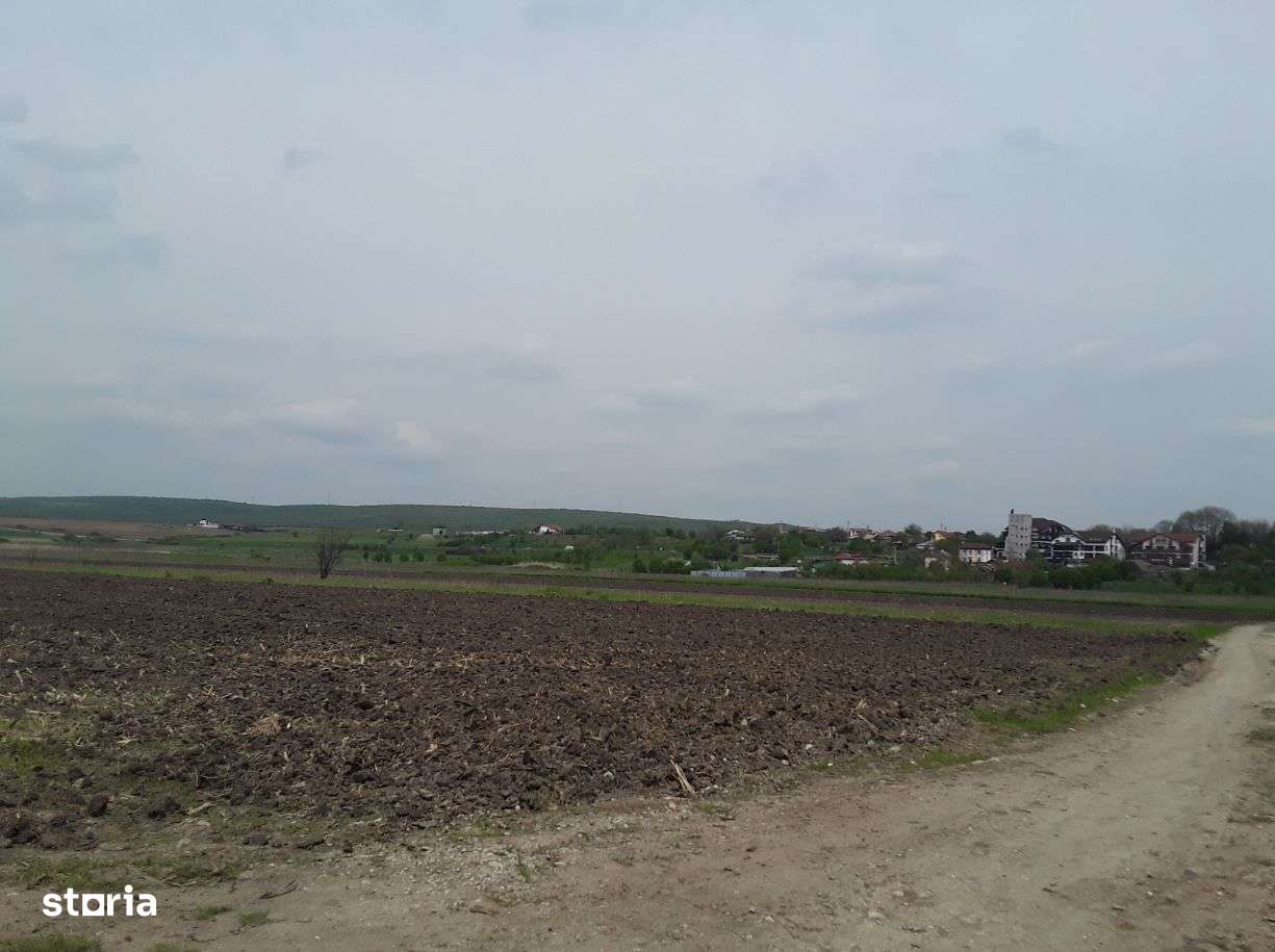 Teren extravilan, Cotofenii din Fata, jud Dolj -id 6954-04.06 - Imagine principală: 2/8