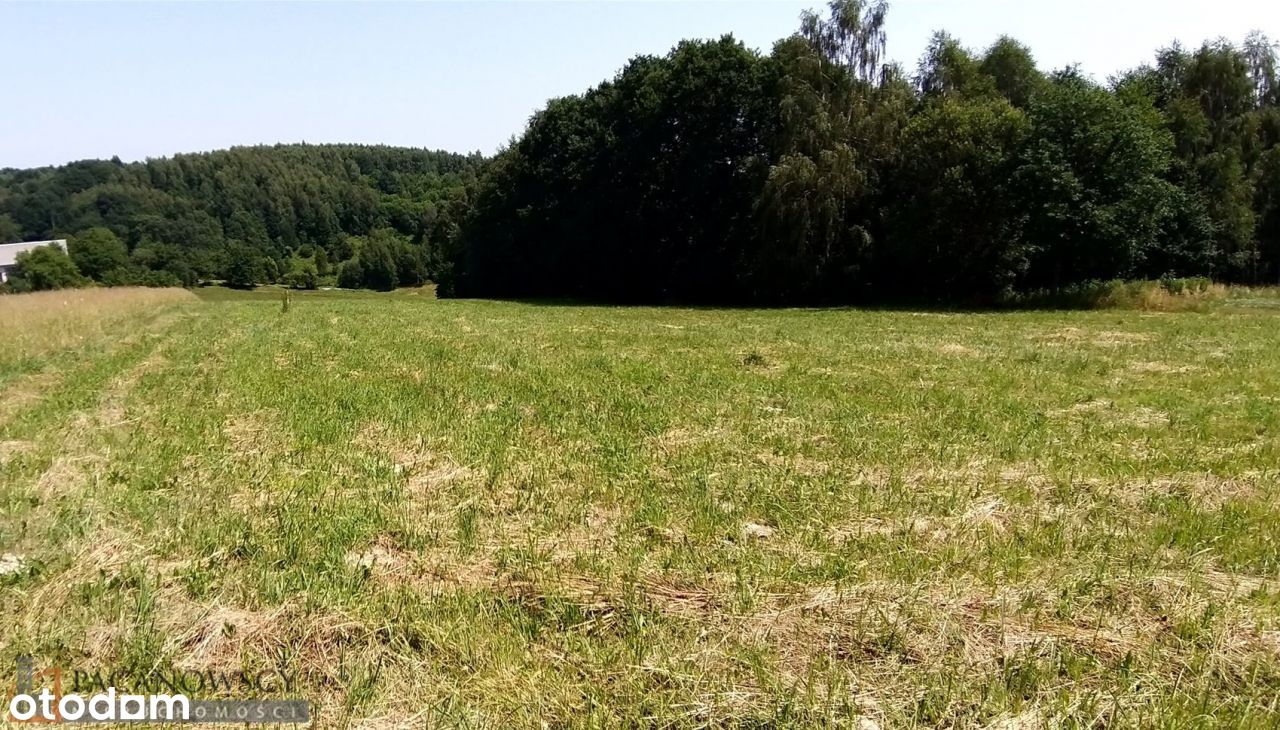 Działka, 1 000 m², Bębło