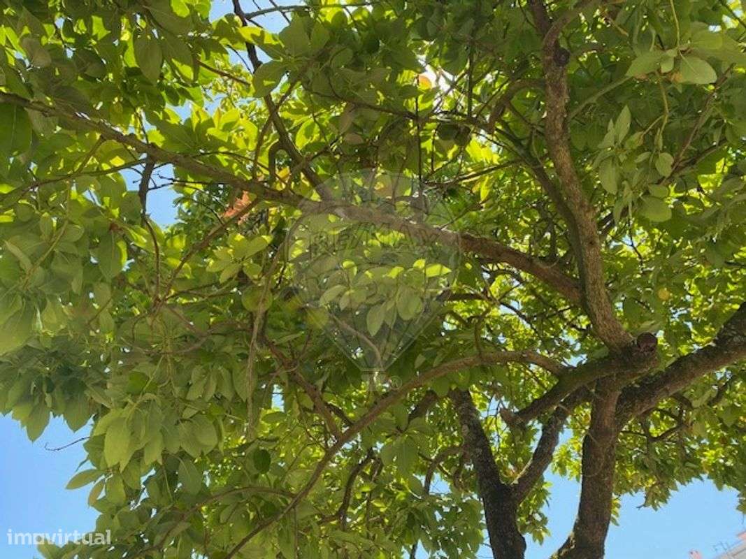 Apartamento T3 para venda - Grande imagem: 3/13