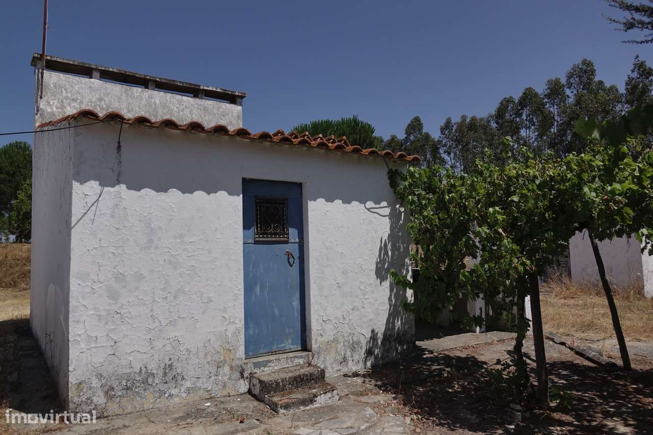 Quinta da Charneca Ribatejana - Zebro / Coruche-8