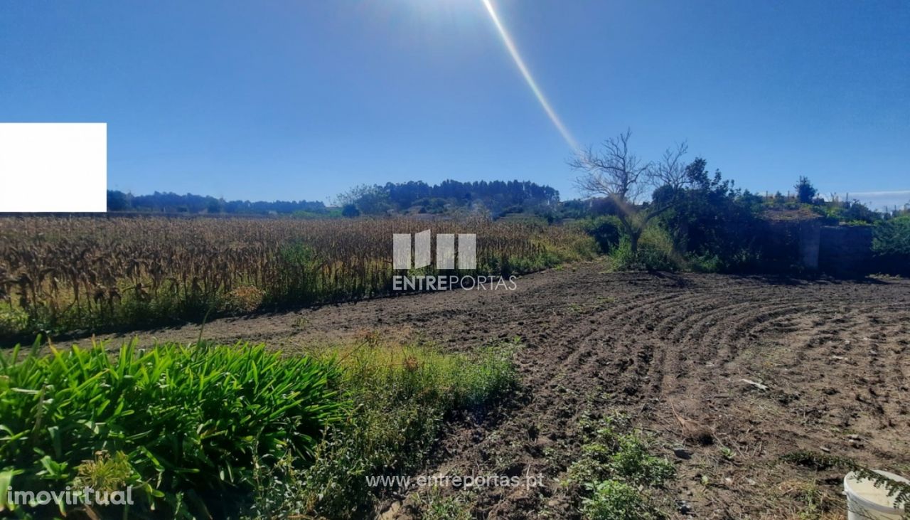 Venda de Terreno com 1200 m2, Tougues, Vila do Conde