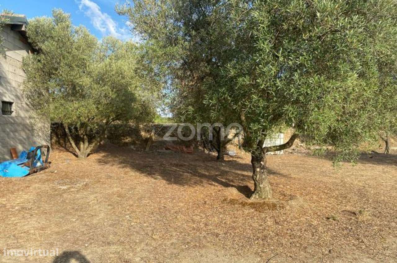 Terreno rústico com 23450 m² de área - Grande imagem: 5/11