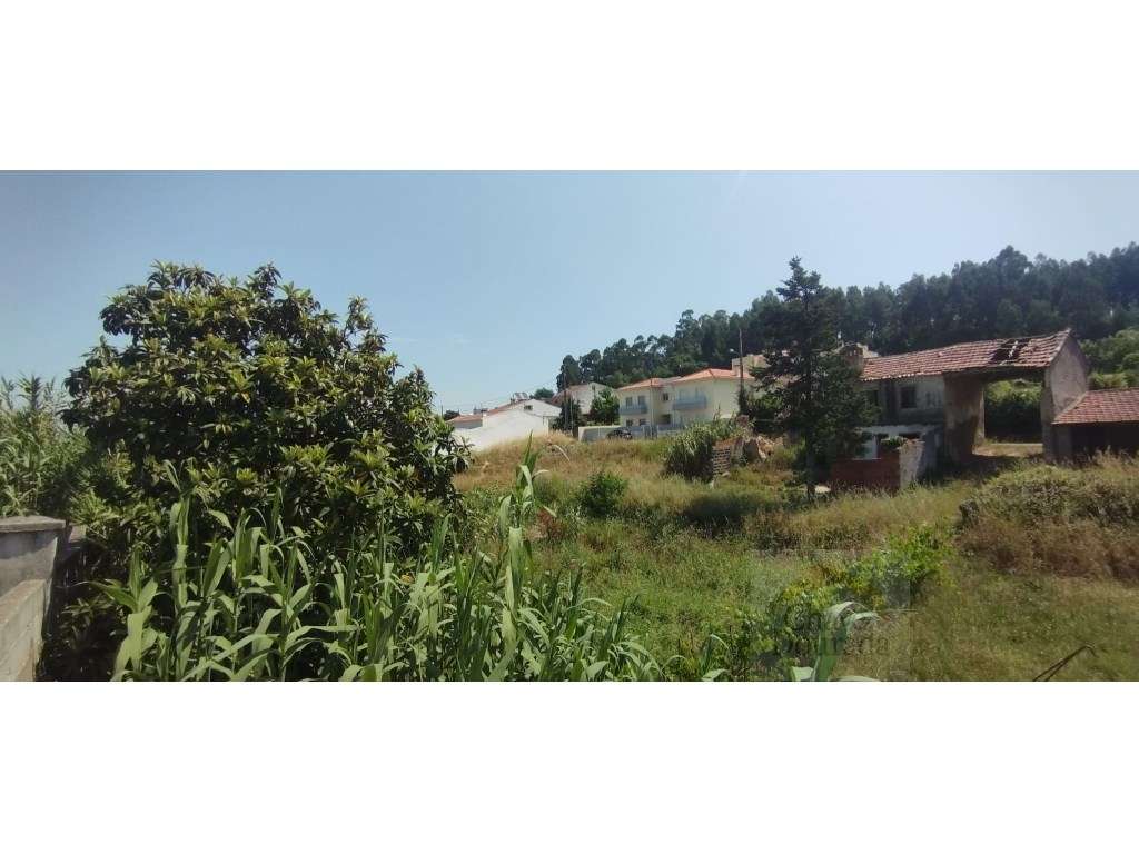 Lote de terreno para construção - Grande imagem: 2/9