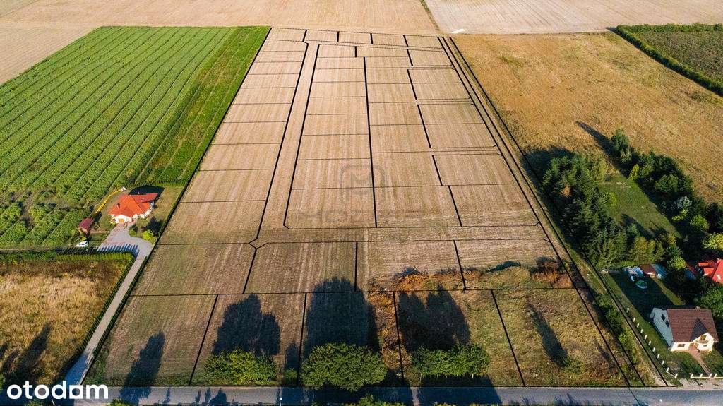 Działki budowlane - Janczewo Kolonia Pod Lasem - Pełny obrazek: 4/17