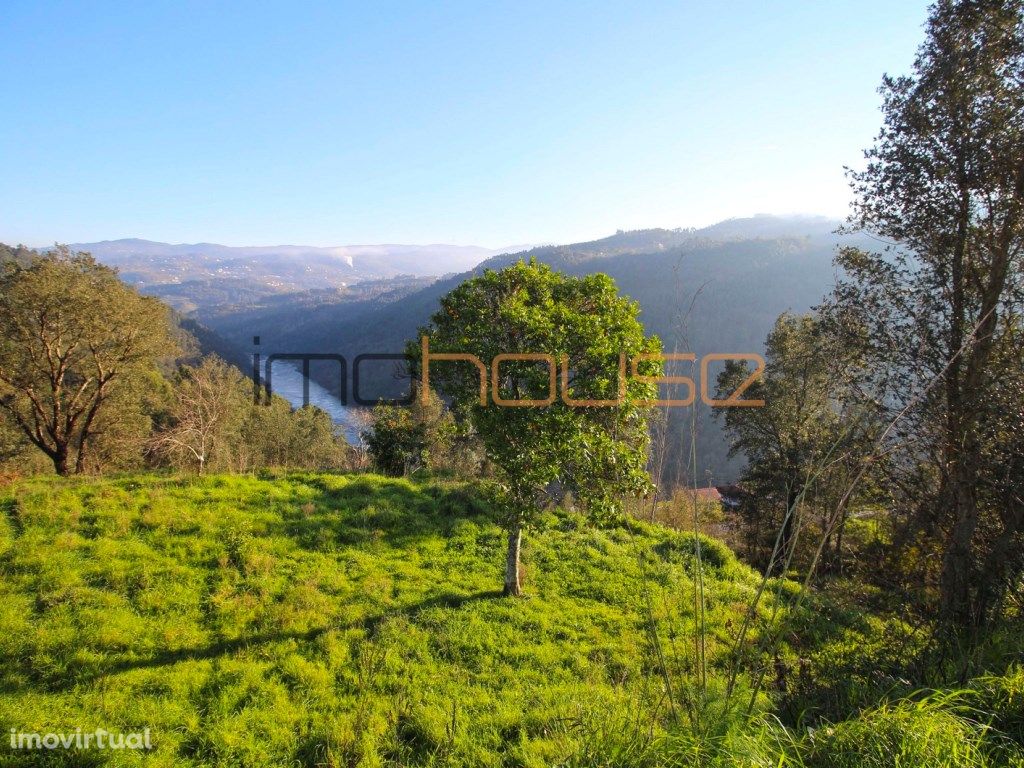 Terreno com vista de Rio Douro - Frente de Ribeiro