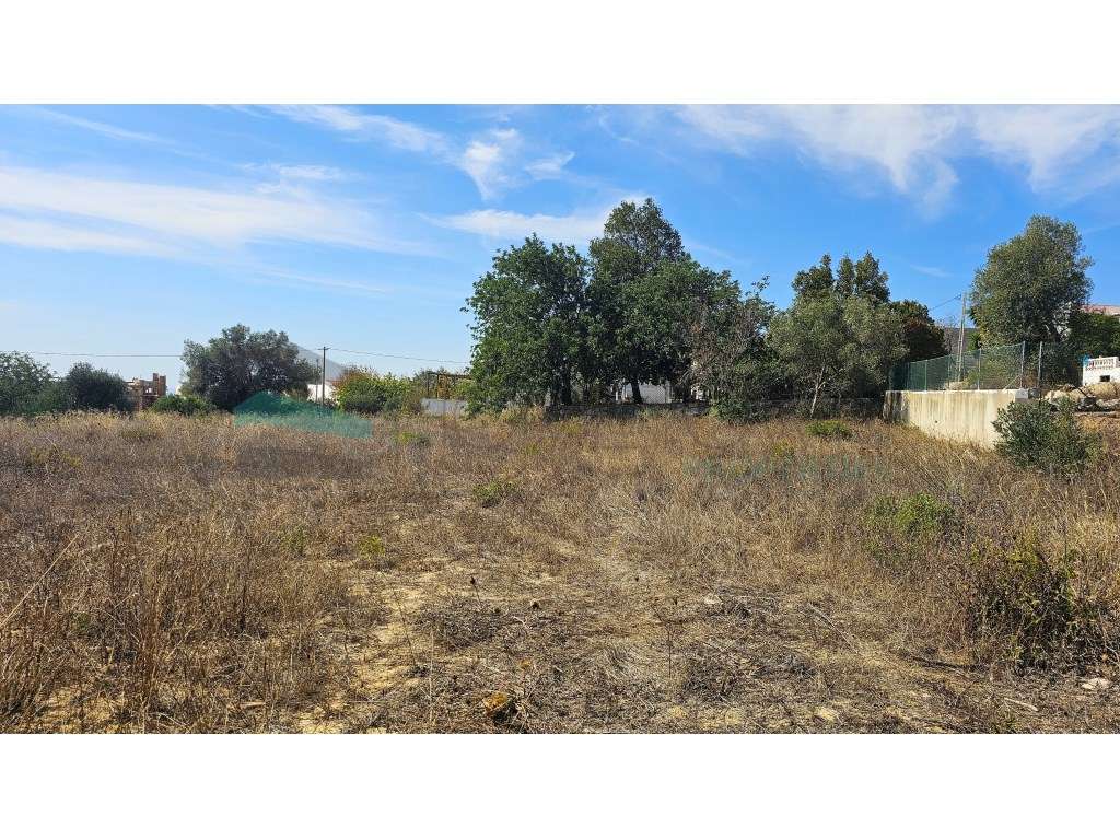 Terreno com projeto aprovado- Santa Bárbara de Nexe - Grande imagem: 4/19