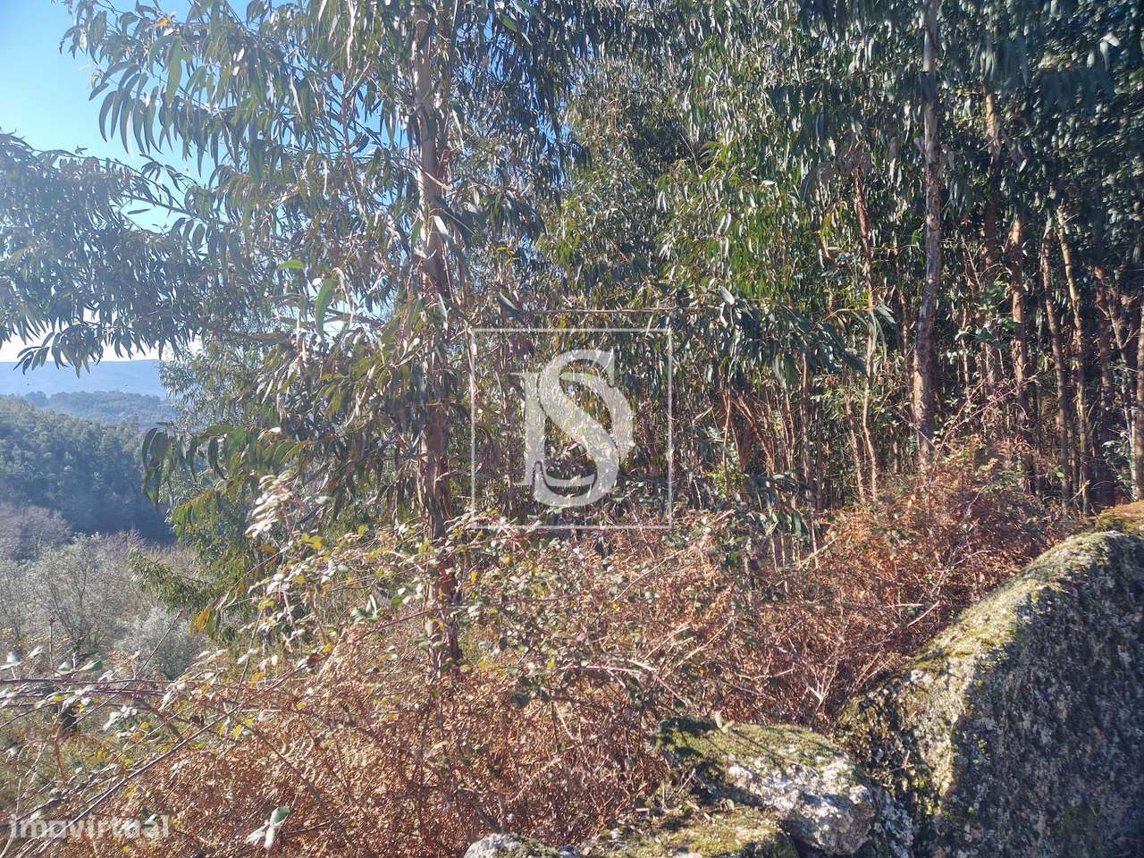 Terreno  Venda em Anjos e Vilar do Chão,Vieira do Minho - Grande imagem: 5/7