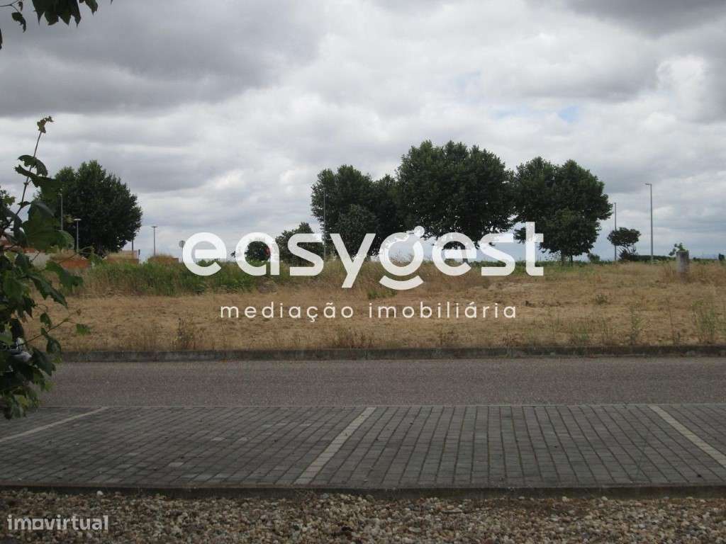 Terreno em Benfica do Ribatejo - Grande imagem: 3/11