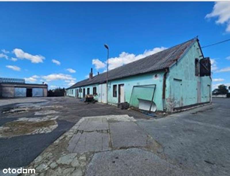 nieruchomość z kompleksem budynków i budowli o funkcji komercyjnej - Pełny obrazek: 5/6