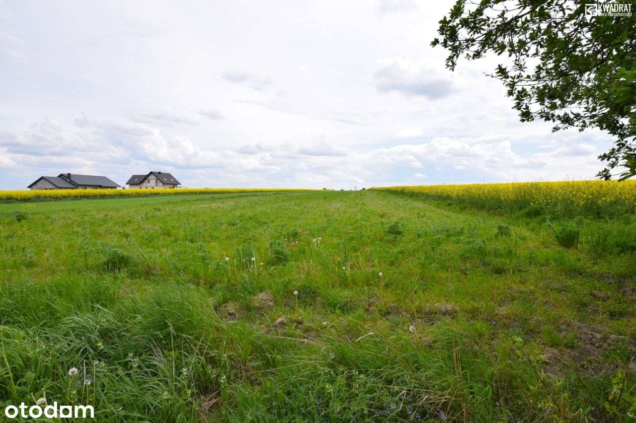 Nasutów/ działka budowlana/ 15 ar - Pełny obrazek: 3/5