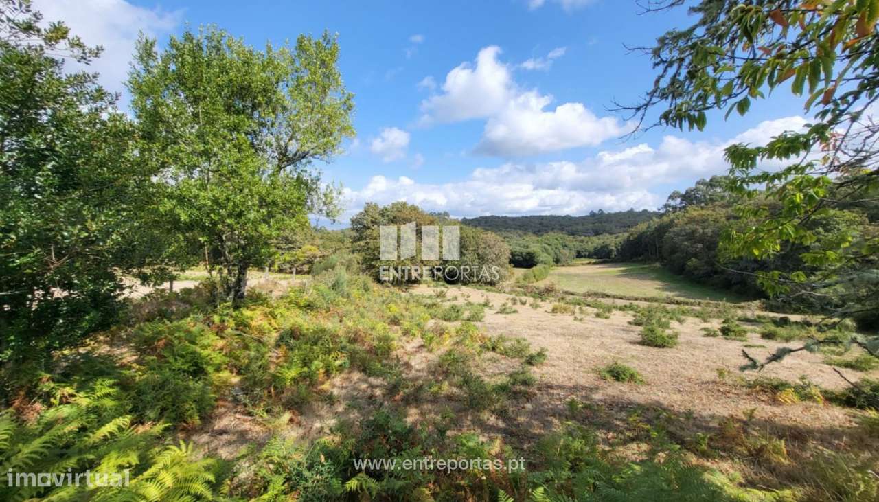 Venda de ótimo terreno para construção, Vascões, Paredes de Coura - Grande imagem: 5/30