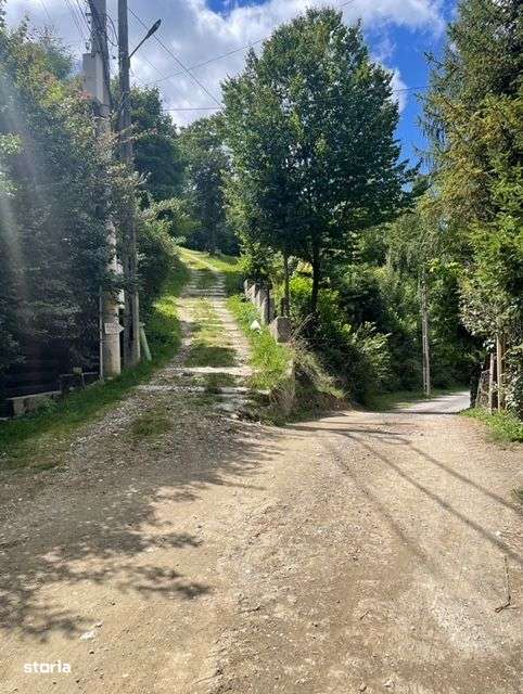 Vila Centrala cu Vedere Unica la Castelul Bran-6