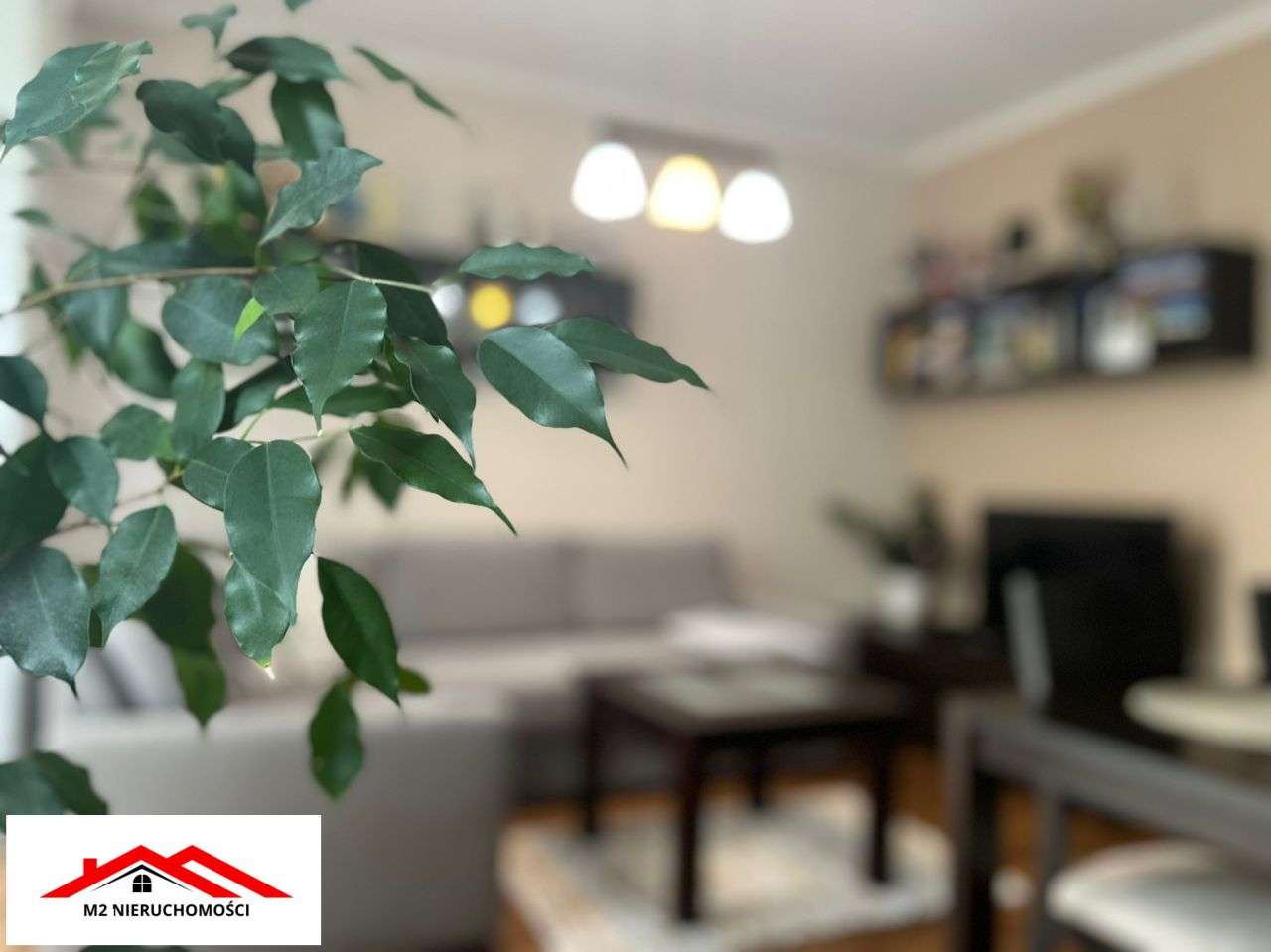 Mieszkanie przy Świętokrzyskiej w Brodnicy. Parter-2