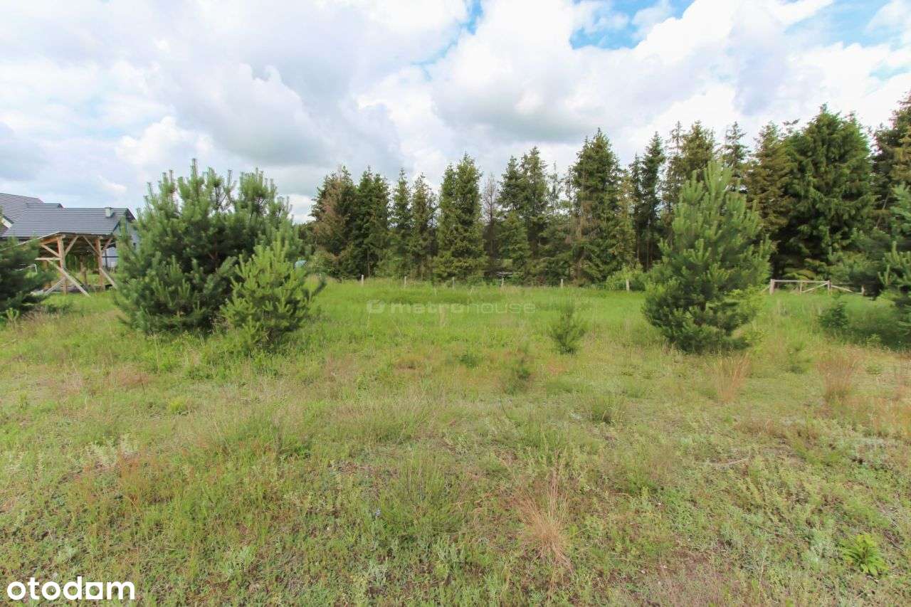 Unikalna działka w Turowie o powierzchni 1530 m2 - Pełny obrazek: 5/6