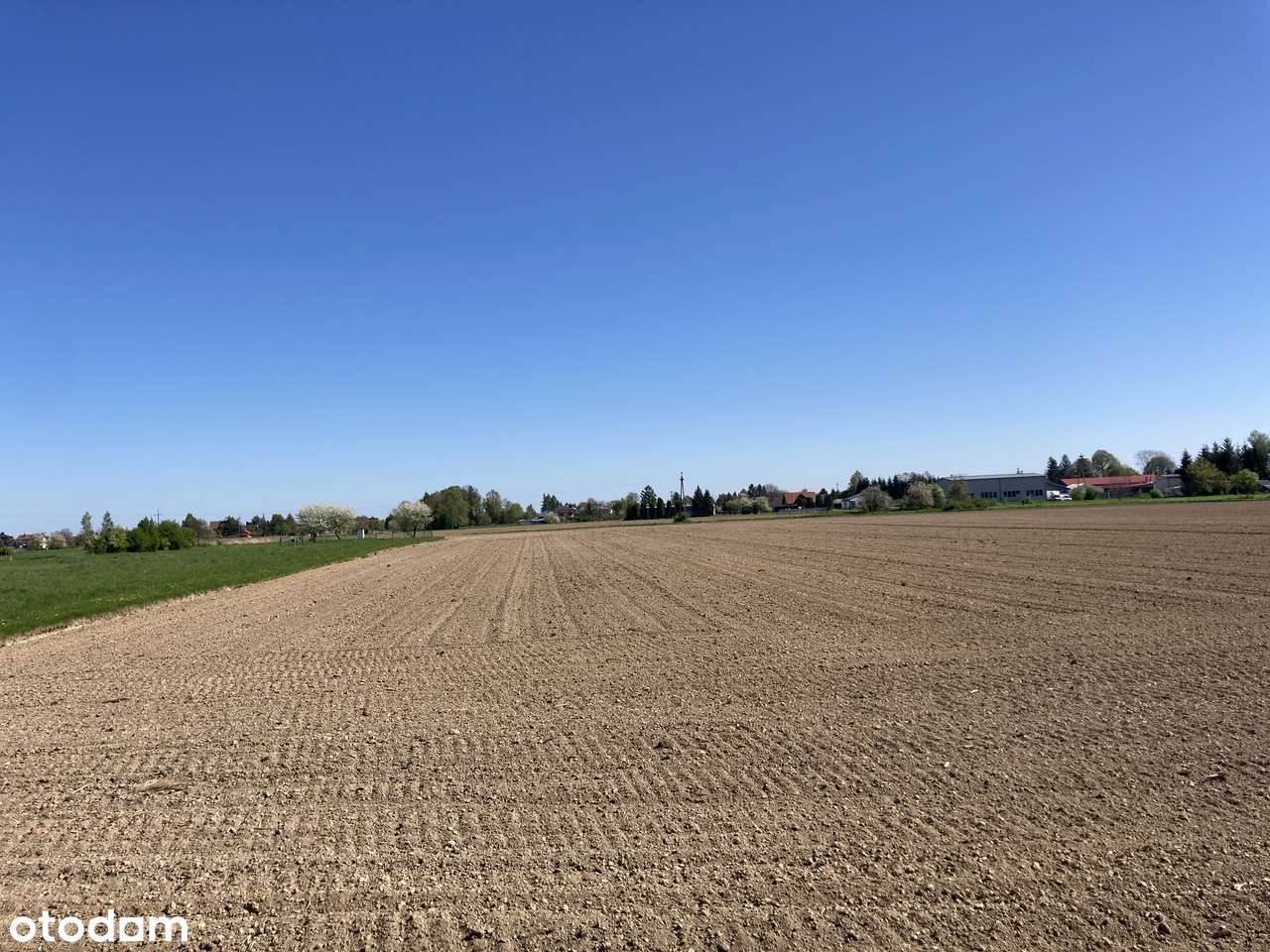 Działka 80 ar - Trzebownisko pod Rzeszowem - Pełny obrazek: 5/5