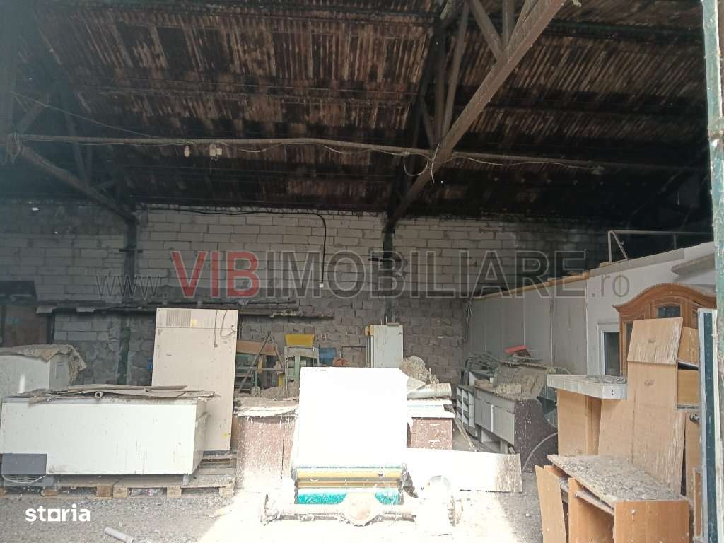 Depozit de vânzare – 392 mp construiți, Timis - Orțișoara, zonă - Imagine principală: 4/11