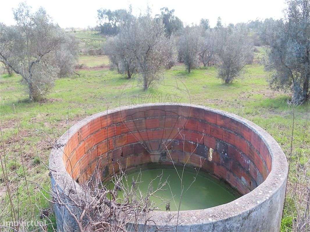 Quinta  para venda - Grande imagem: 3/37