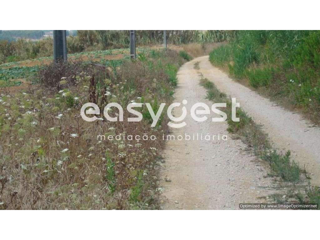 Terreno Rústico - Porto Dinheiro - Grande imagem: 3/4