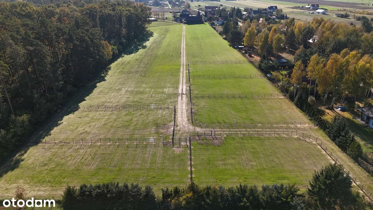 Działki przy jeziorze Lucieńskim i lesie państwowym-6