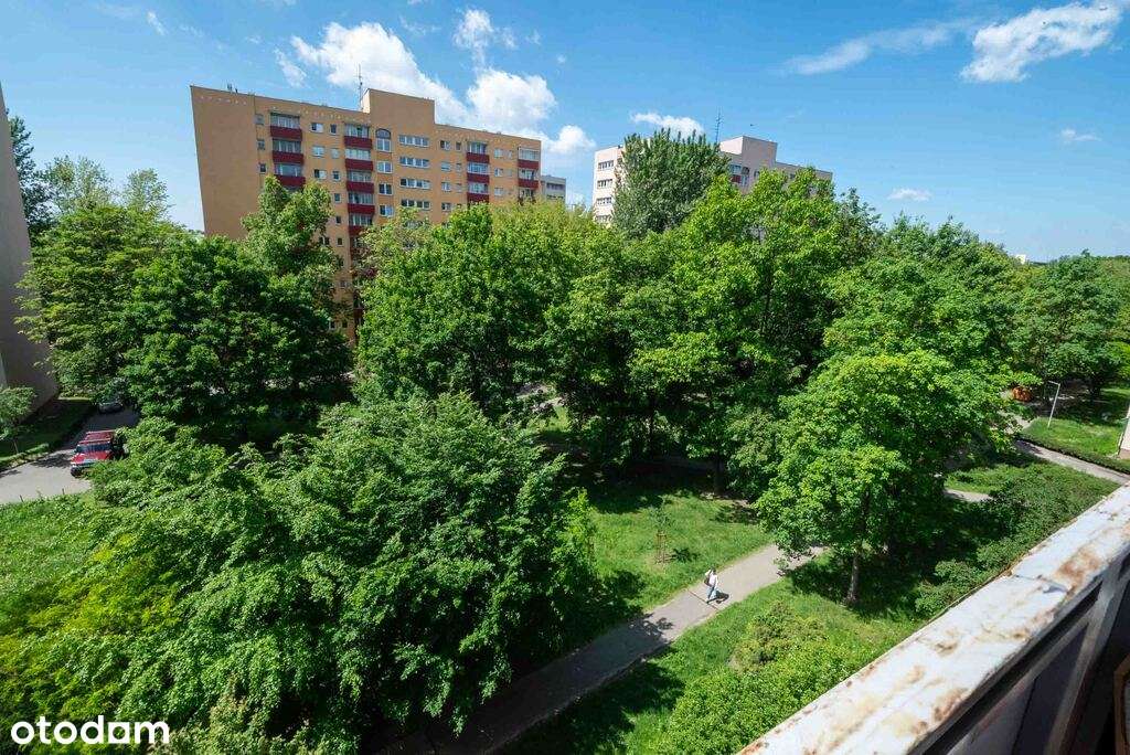 3 pok. z widną kuchnią przy metrze i parku Urlicha-2
