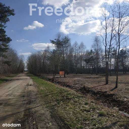 Działka budowlana 3000m2 Ludwików - Pełny obrazek: 5/8